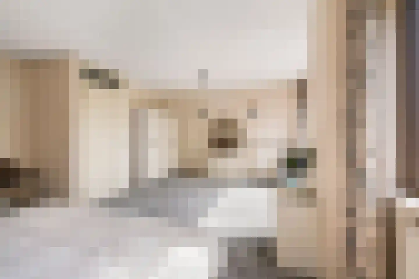 Sparresholm 124 Hoofddorp thumbnail 20