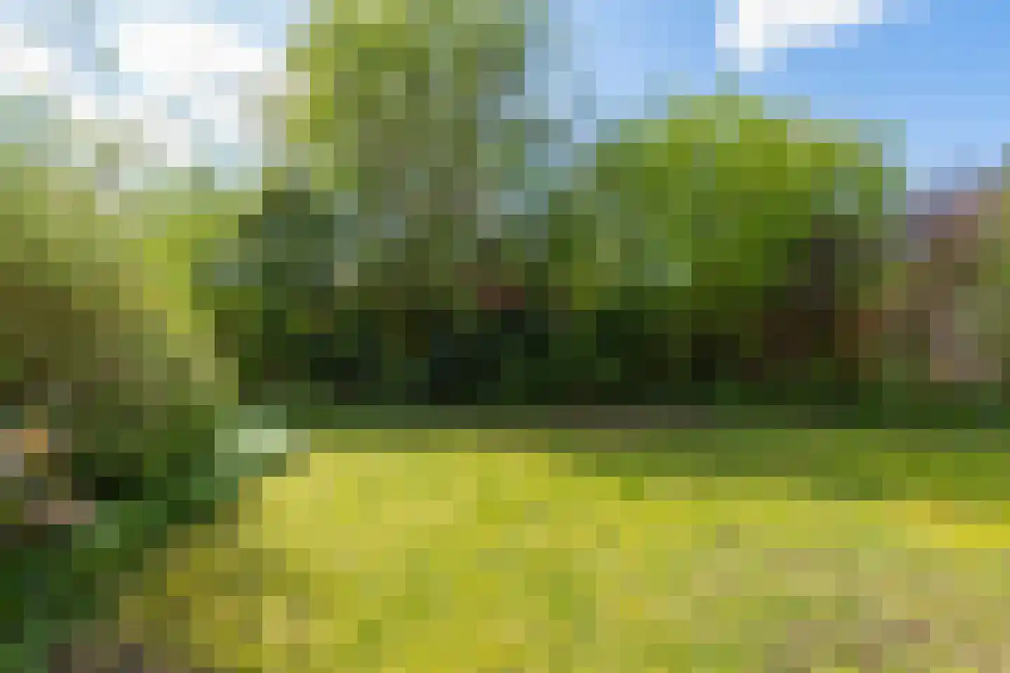 Sparresholm 124 Hoofddorp thumbnail 38