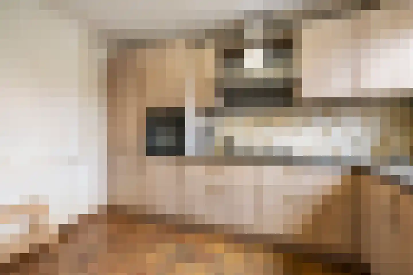 Sparresholm 124 Hoofddorp thumbnail 7