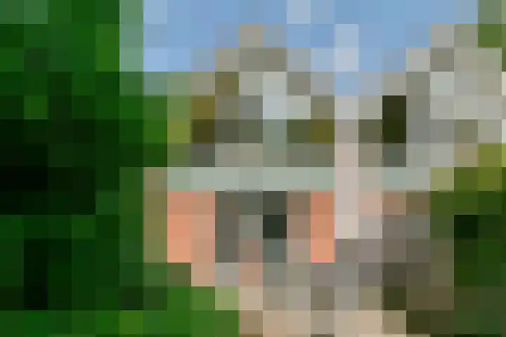 Sparresholm 35 in Hoofddorp