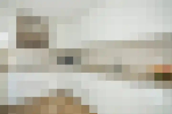 Sparresholm 69 Hoofddorp thumbnail 11