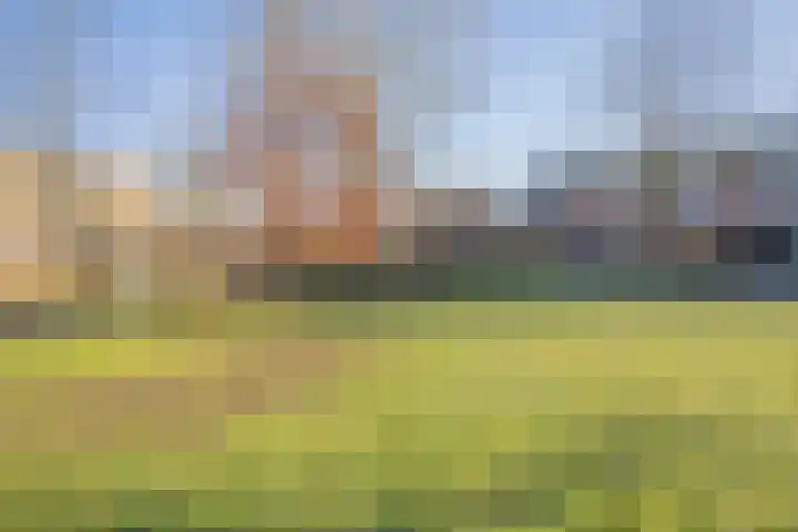 Sparresholm 69 Hoofddorp thumbnail 56