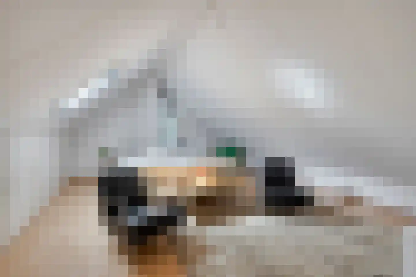 Sparresholm 7 Hoofddorp thumbnail 27