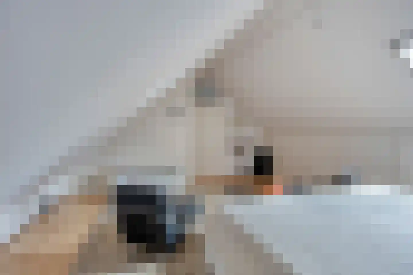 Sparresholm 7 Hoofddorp thumbnail 28