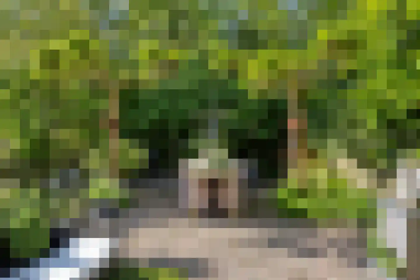 Sparresholm 7 Hoofddorp thumbnail 30