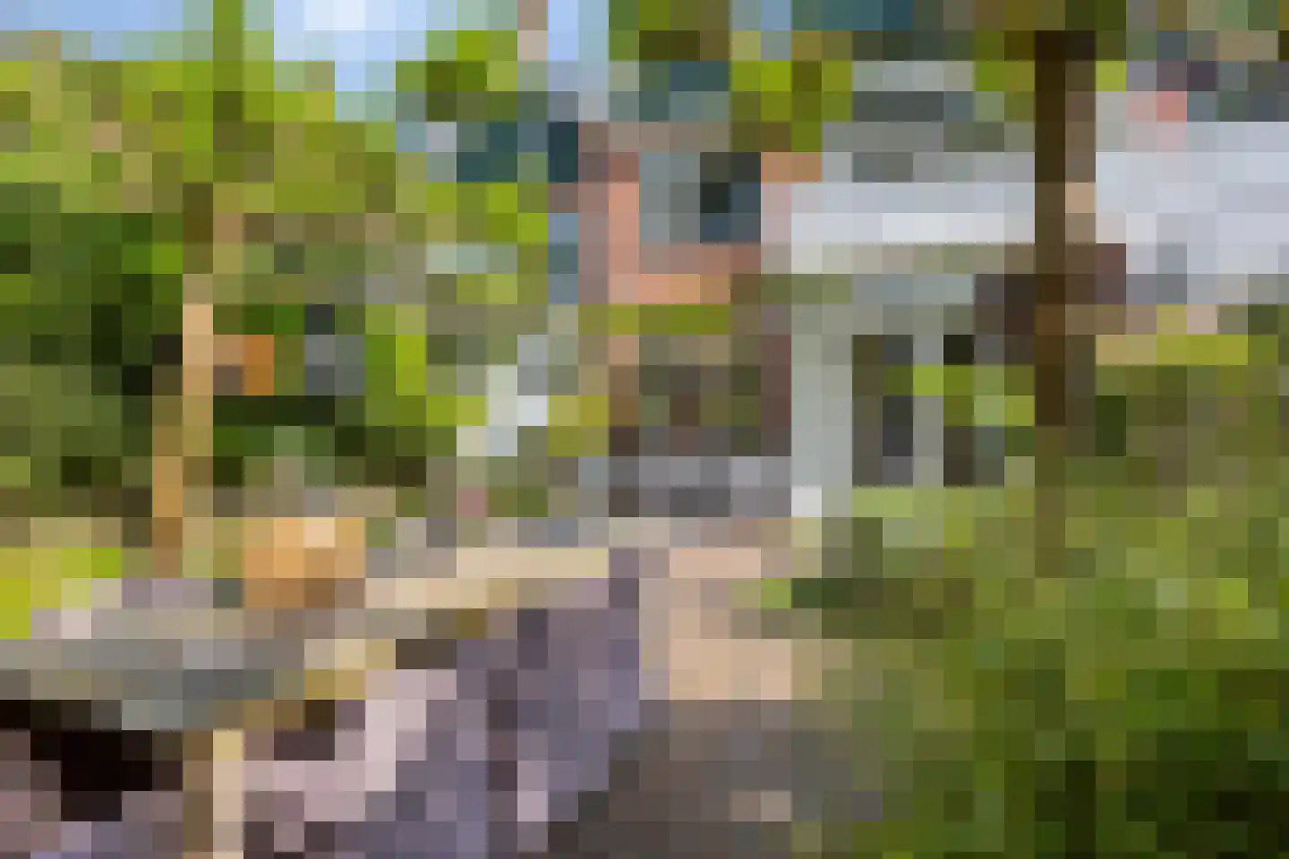 Sparresholm 7 Hoofddorp thumbnail 33