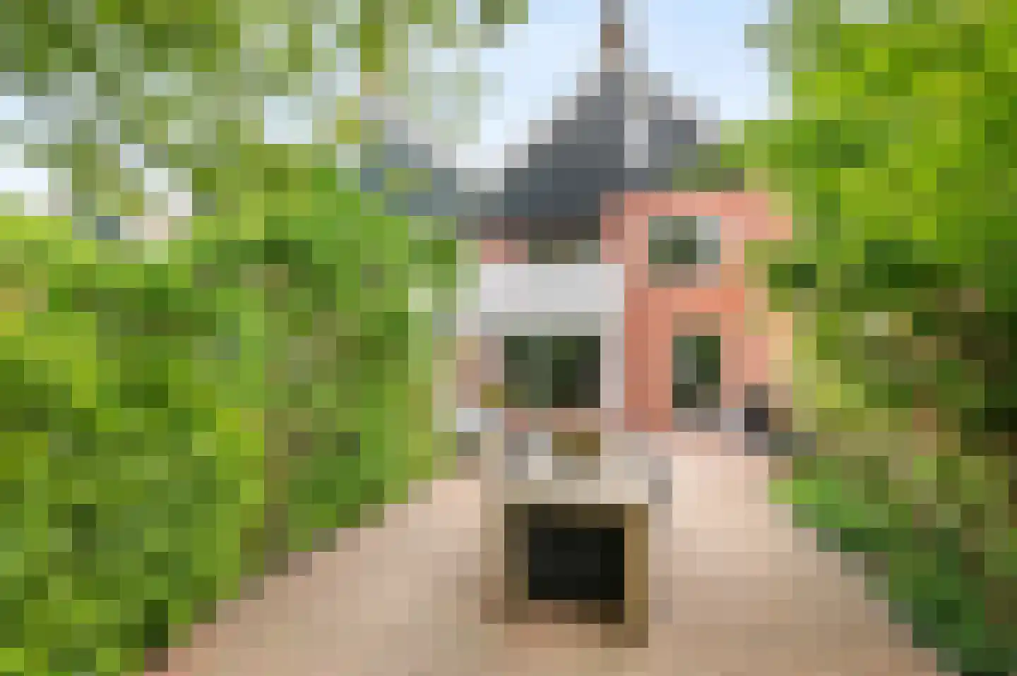 Sparresholm 9 Hoofddorp thumbnail 31