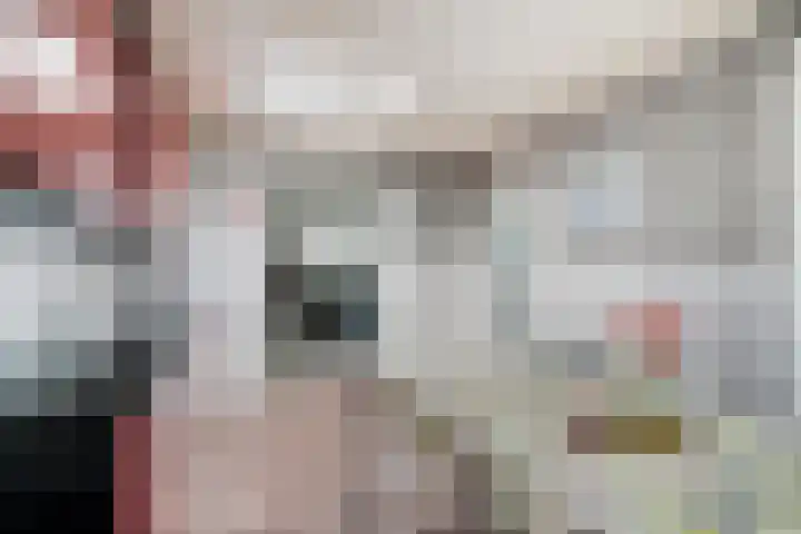 Sparrestraat 12 Someren thumbnail 13