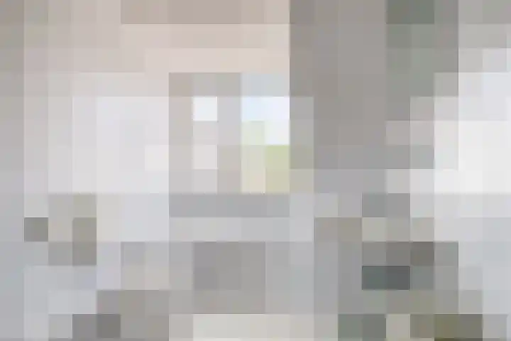 Sparrestraat 12 Someren thumbnail 22