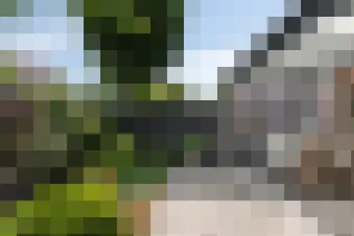 Sparrestraat 12 Someren thumbnail 27