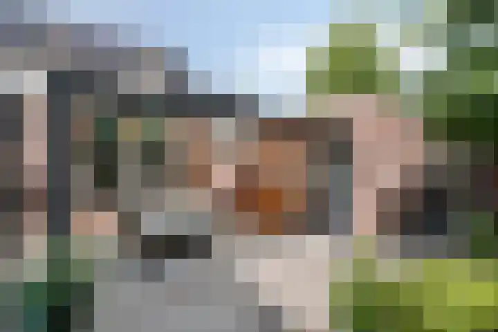 Sparrestraat 12 Someren thumbnail 29