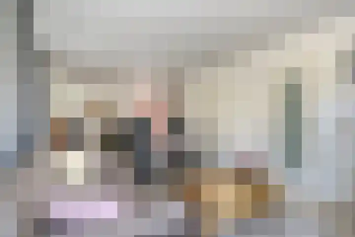 Sparrestraat 12 Someren thumbnail 6