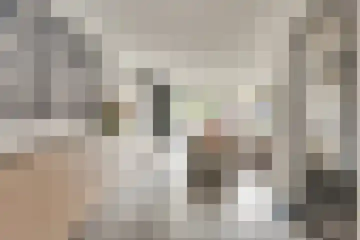 Sparrestraat 14 Someren thumbnail 20