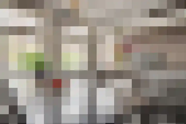 Sparrestraat 14 Someren thumbnail 27