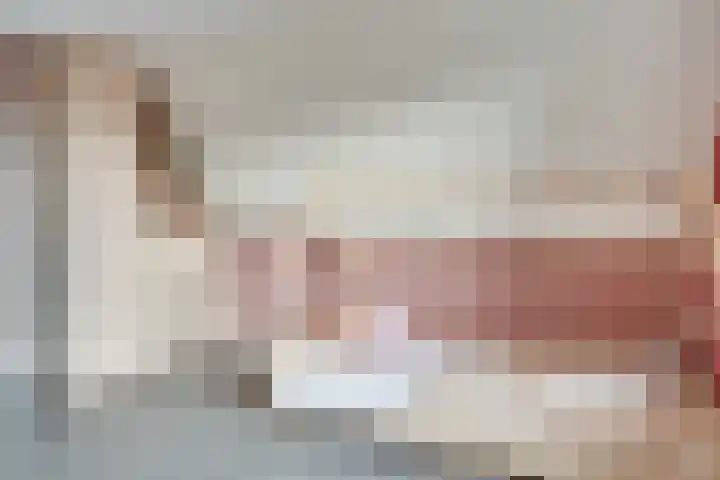 Sparrestraat 14 Someren thumbnail 39