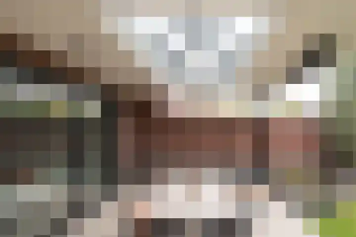 Sparrestraat 14 Someren thumbnail 44