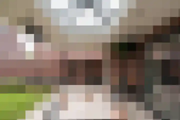Sparrestraat 14 Someren thumbnail 45