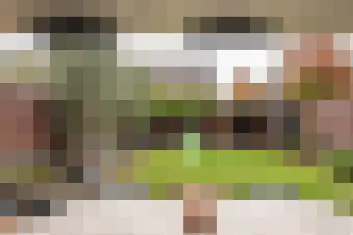 Sparrestraat 14 Someren thumbnail 46