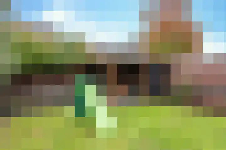 Sparrestraat 14 Someren thumbnail 48