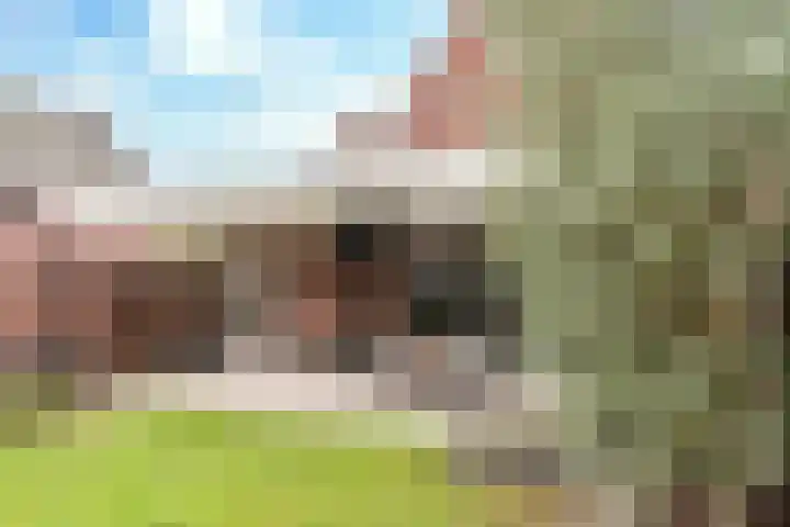 Sparrestraat 14 Someren thumbnail 49