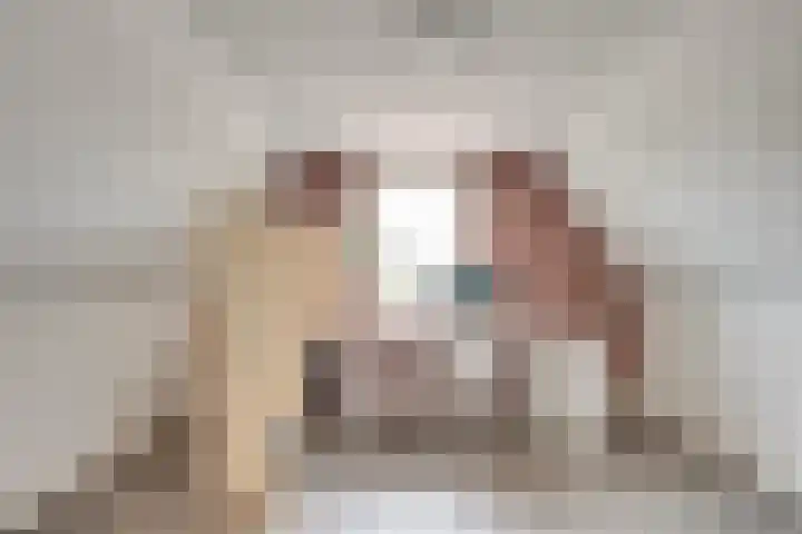 Sparrestraat 14 Someren thumbnail 5