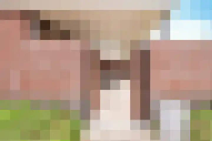 Sparrestraat 14 Someren thumbnail 50