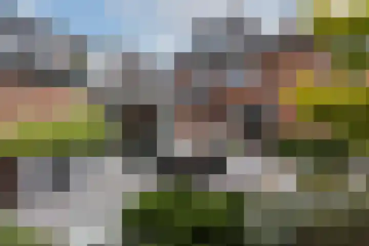 Sparstraat 12 Oldenzaal thumbnail 39