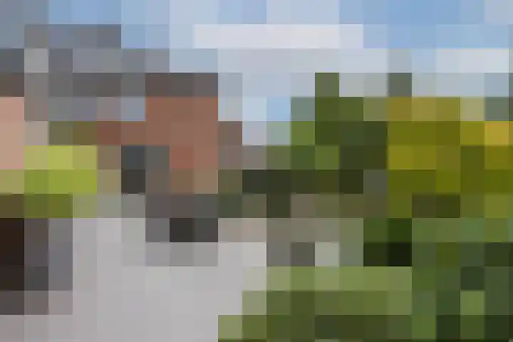 Sparstraat 12 Oldenzaal thumbnail 40