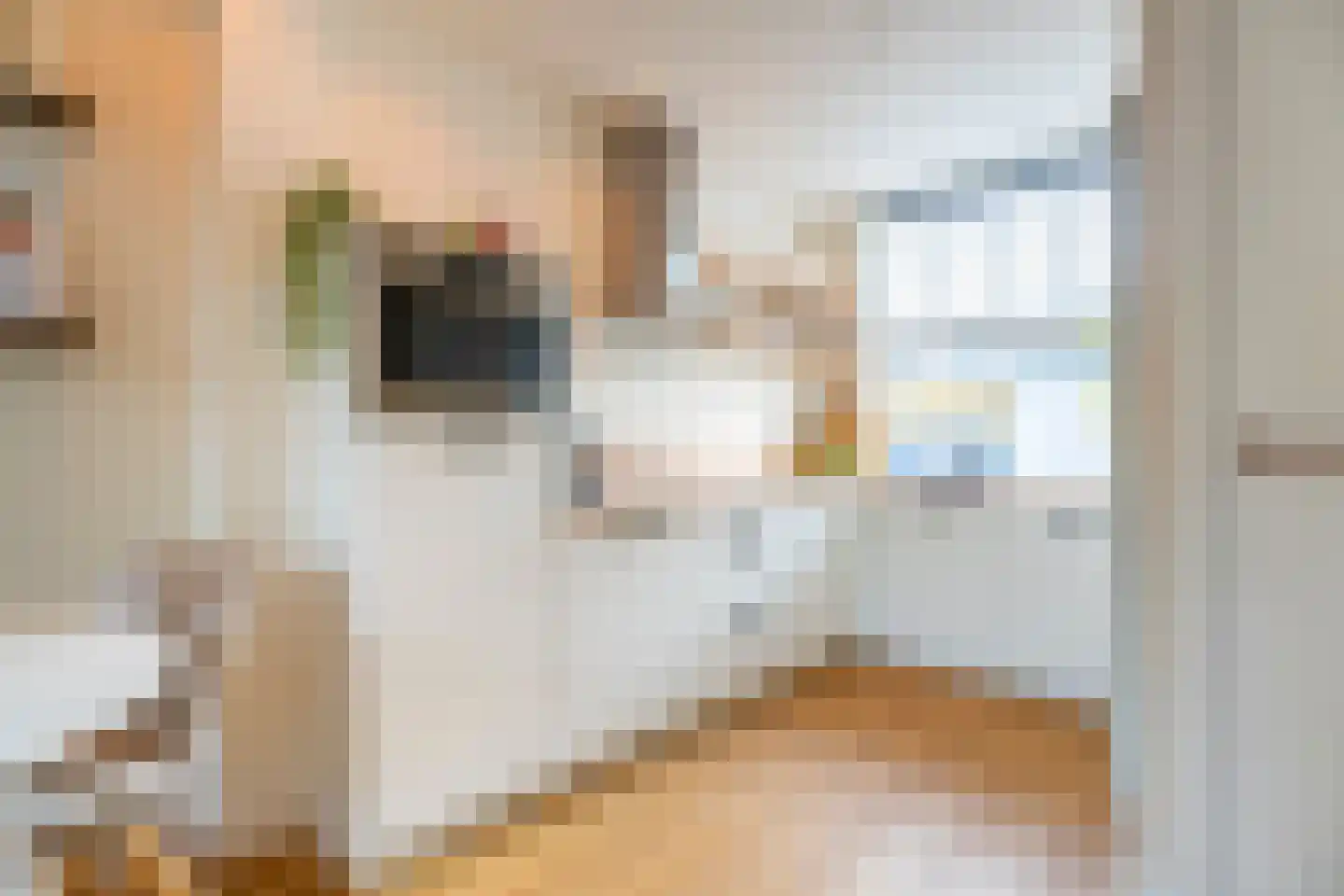 Sparstraat 2 Alphen aan den Rijn thumbnail 10