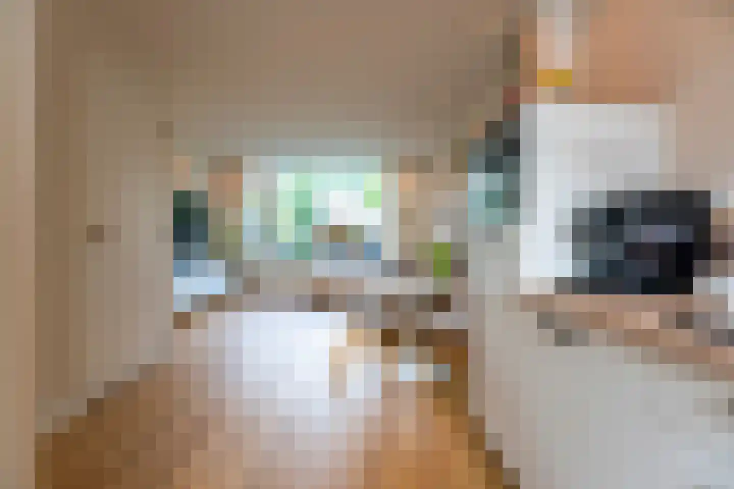 Sparstraat 2 Alphen aan den Rijn thumbnail 12
