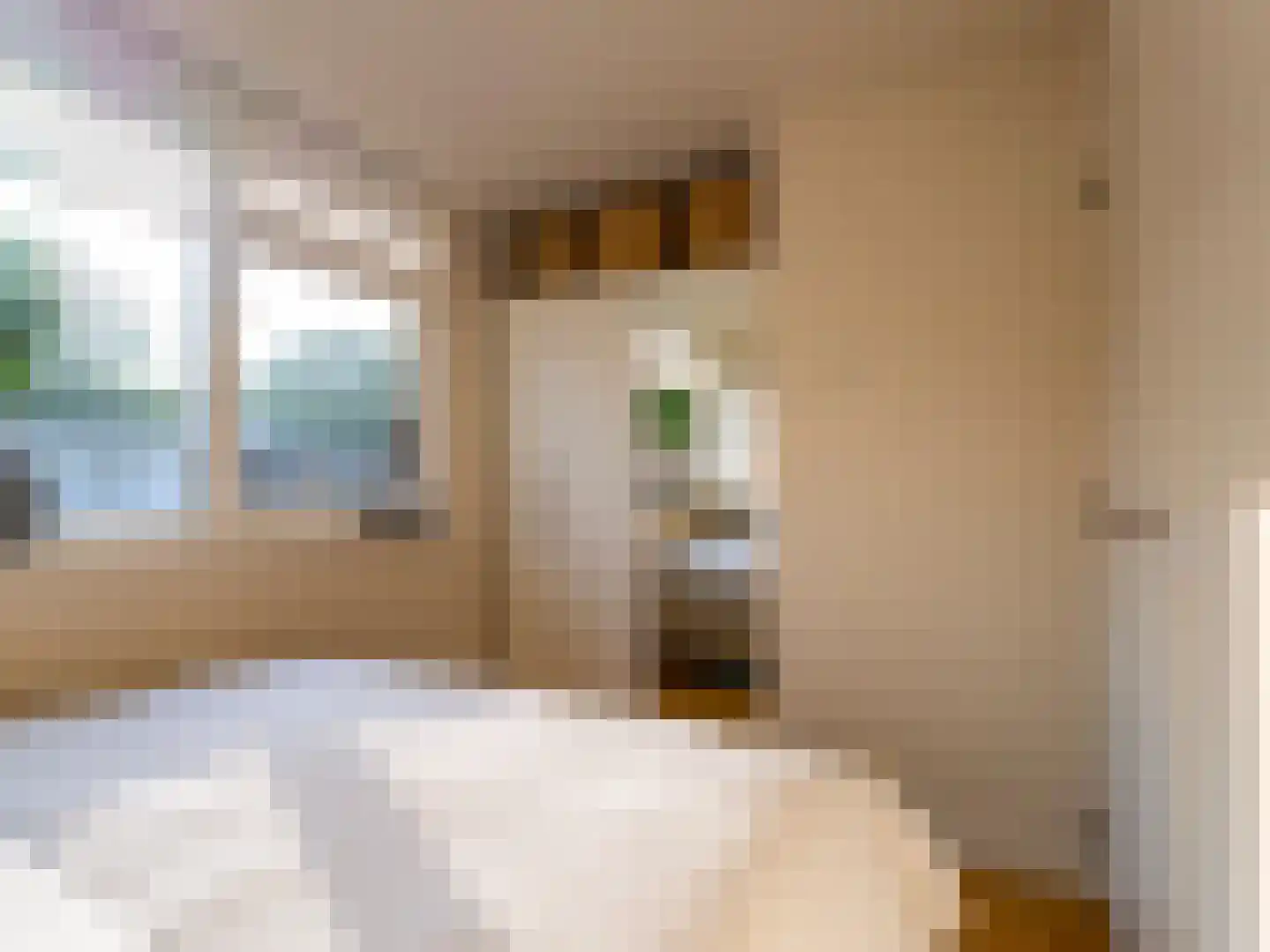 Sparstraat 2 Alphen aan den Rijn thumbnail 19