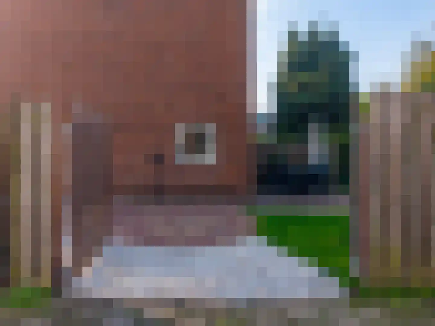 Sparstraat 2 Alphen aan den Rijn thumbnail 38