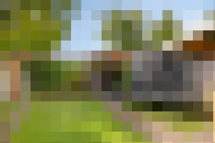 Sparstraat 64 Oldenzaal thumbnail 31
