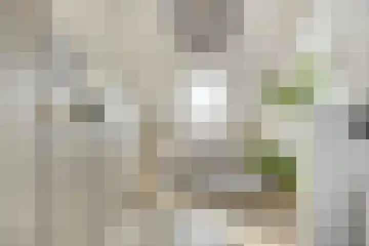 Spartahof 32 Apeldoorn thumbnail 18