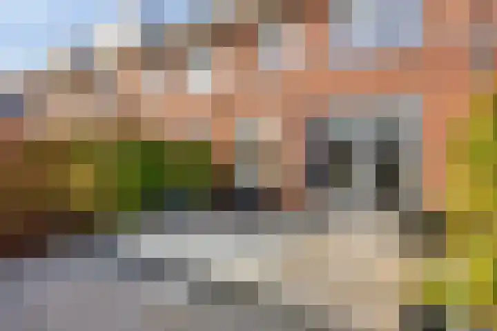 Spartahof 32 Apeldoorn thumbnail 24