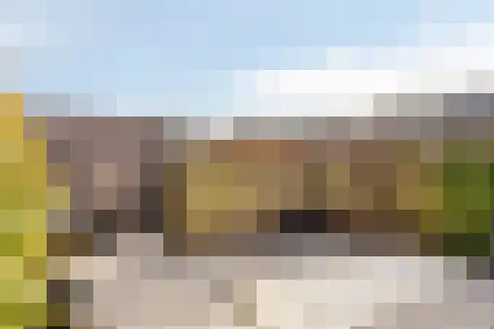 Spartahof 32 Apeldoorn thumbnail 25