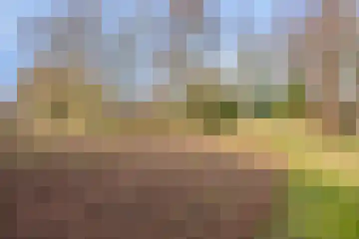 Spartahof 32 Apeldoorn thumbnail 27