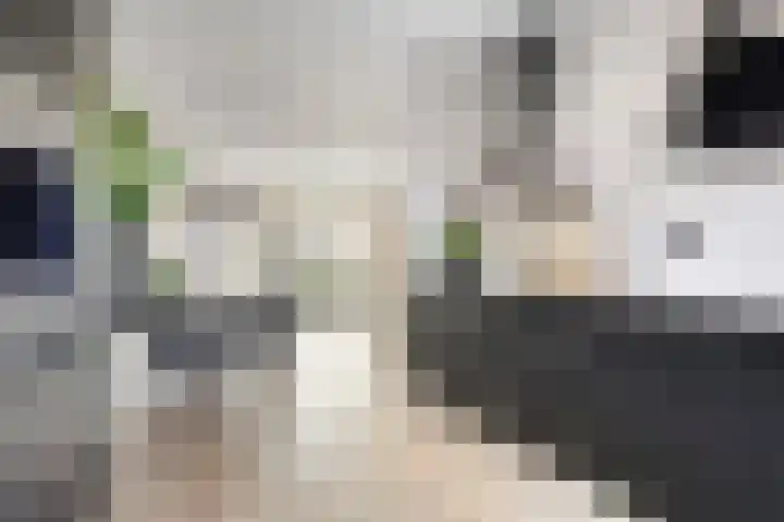Spartahof 32 Apeldoorn thumbnail 8