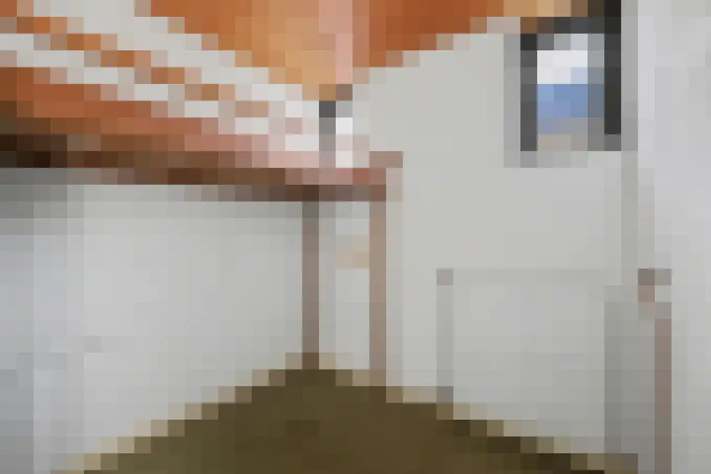 Spartastraat 73 Enschede thumbnail 32