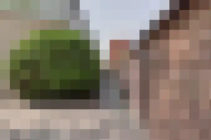 Spartaveld 32 Leerdam thumbnail 40