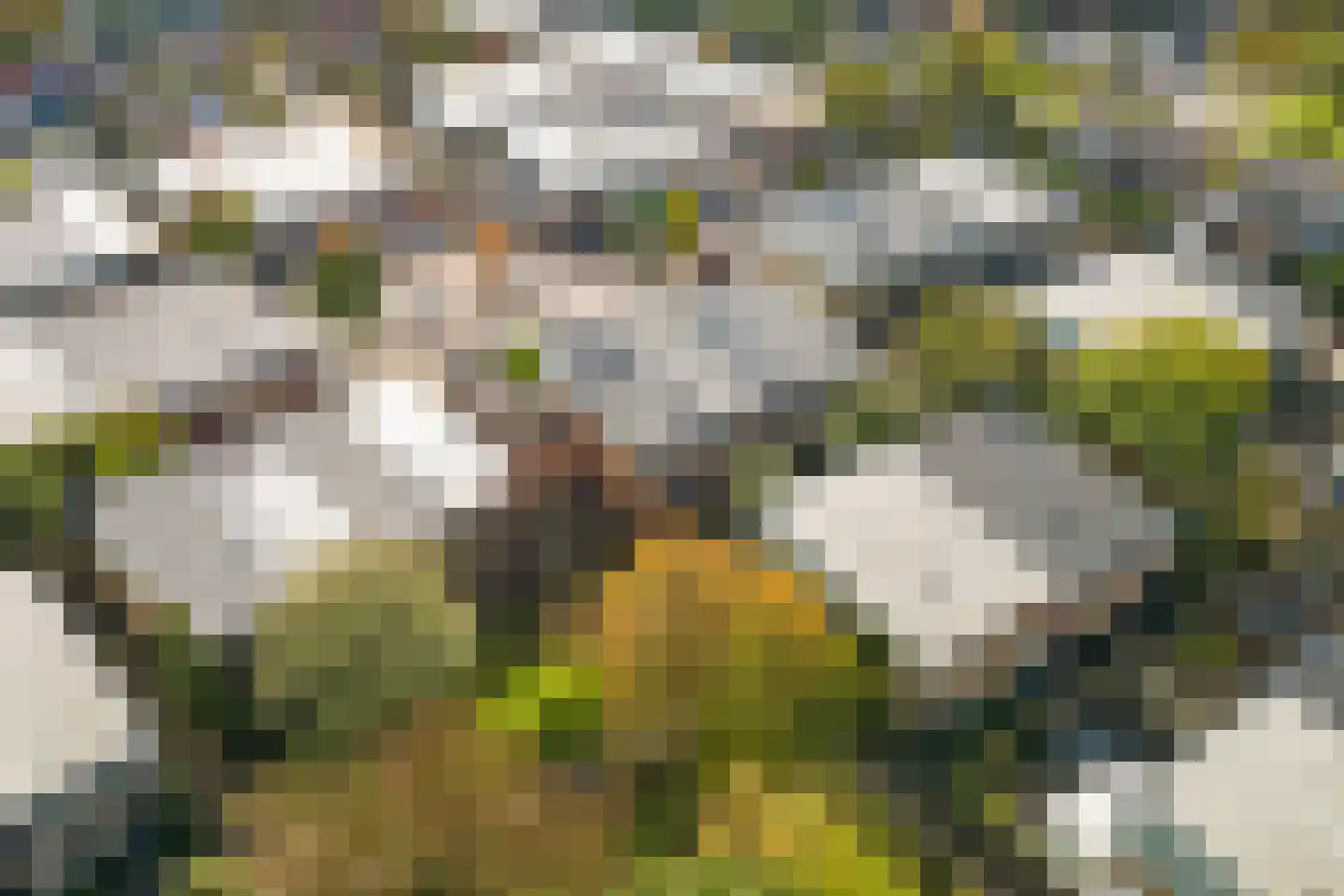 Spartaveld 81 Leerdam thumbnail 42