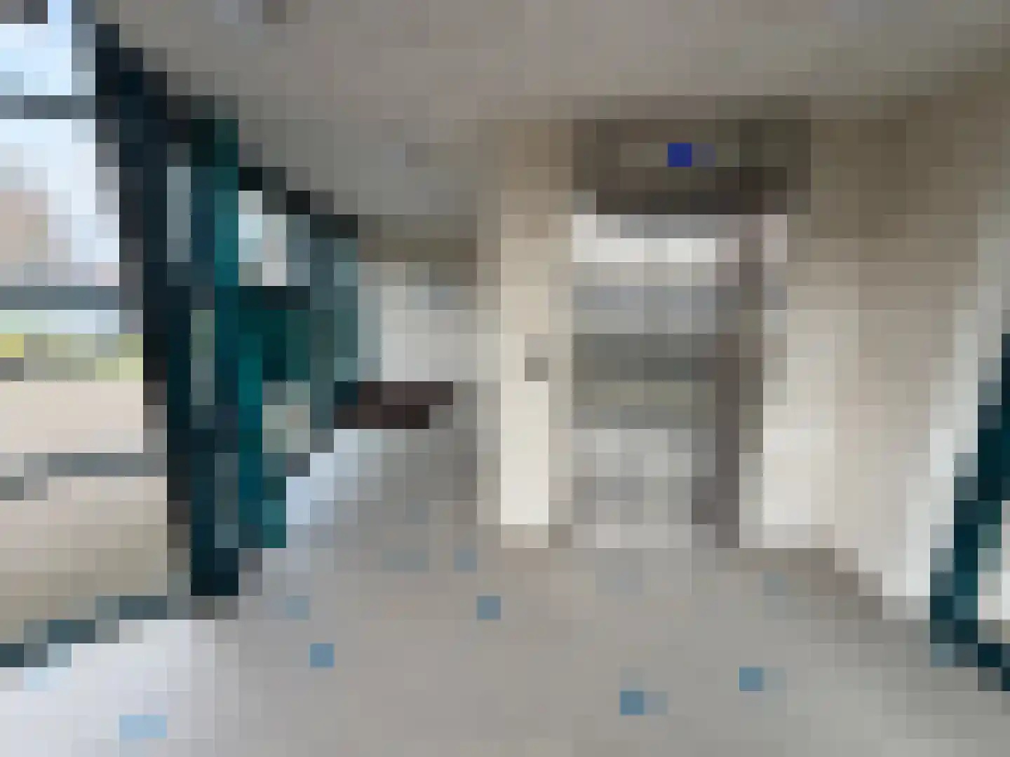 Spatterstraat 123 Wormer thumbnail 6