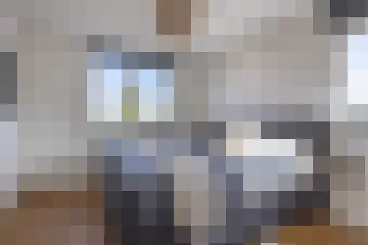 Spatterstraat 14 Wormer thumbnail 12
