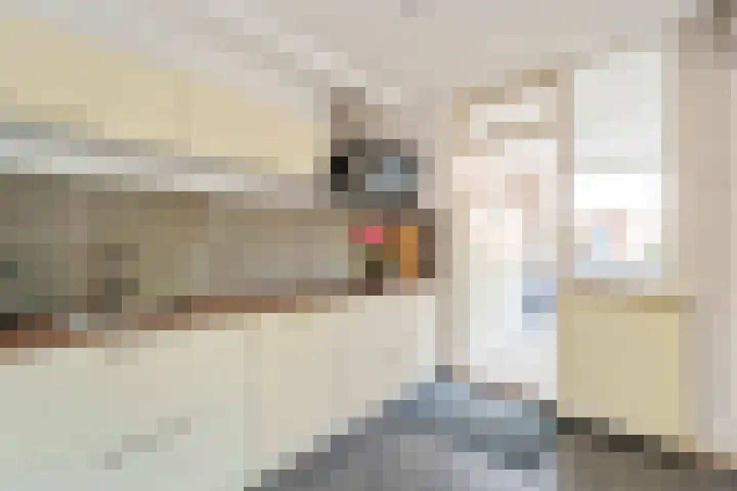 Spatterstraat 2 Wormer thumbnail 11