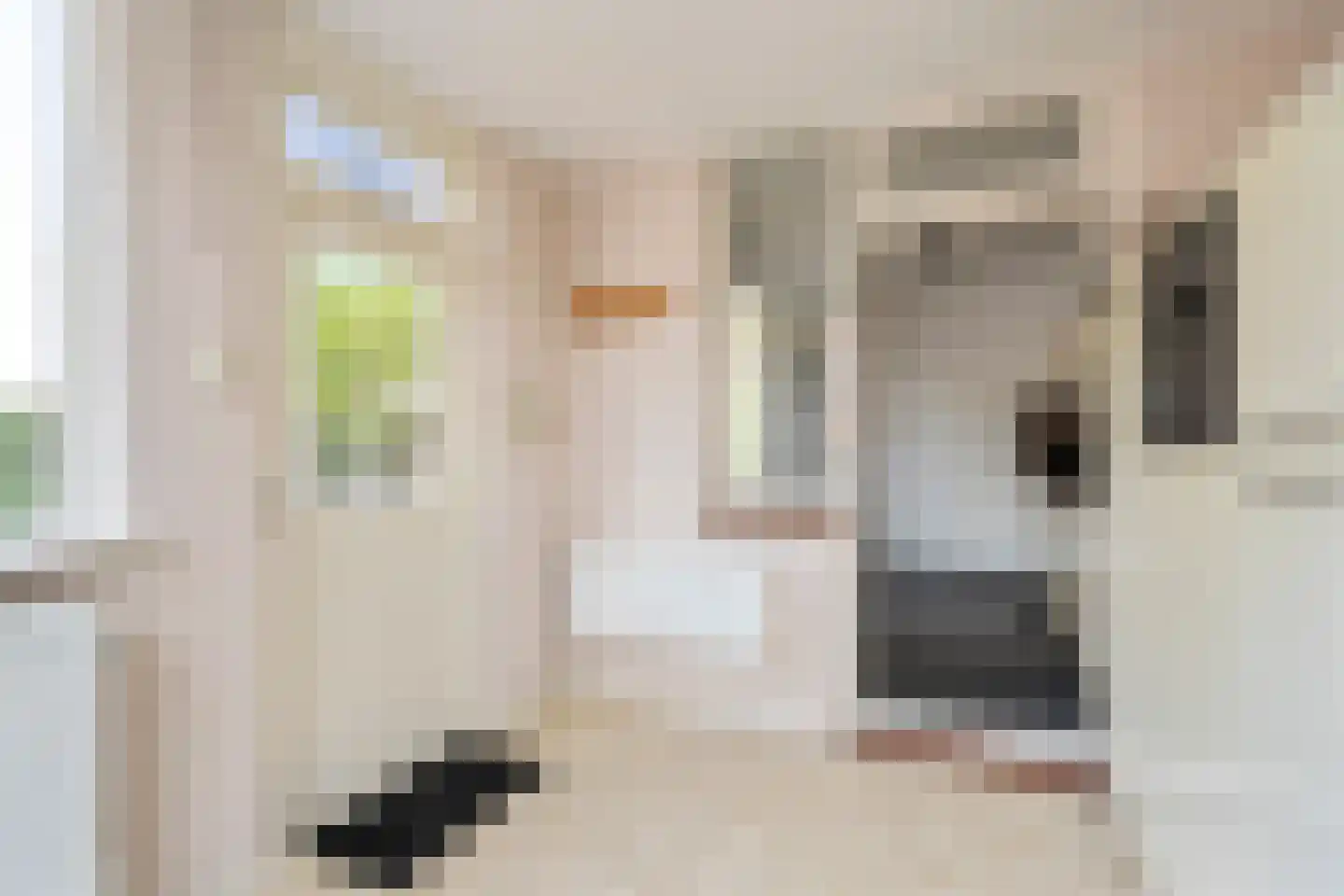 Spatterstraat 2 Wormer thumbnail 13