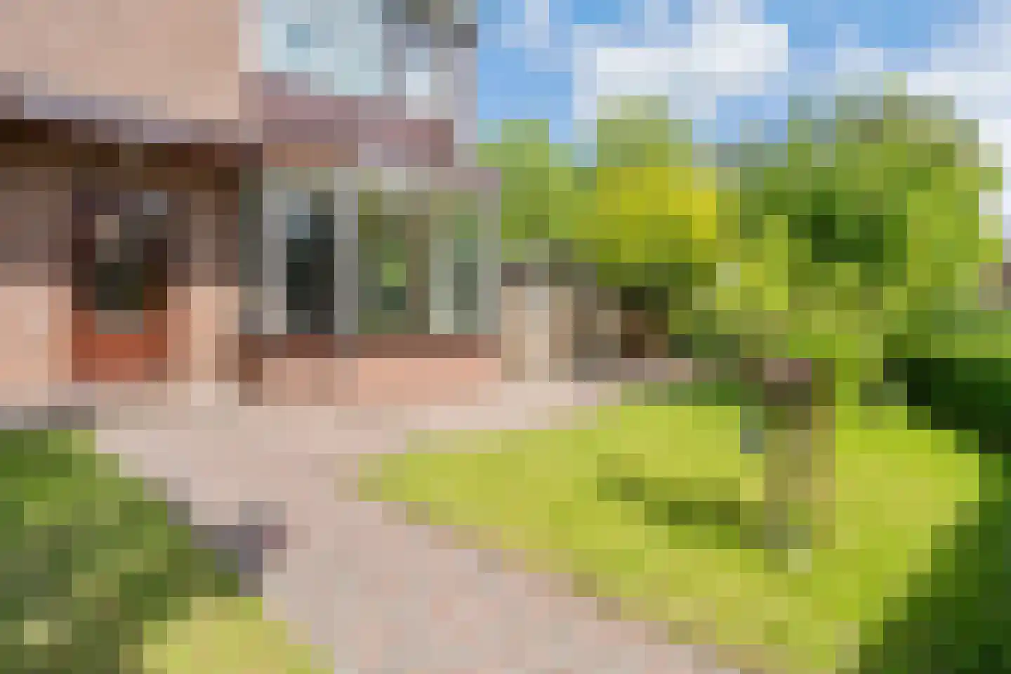 Spatterstraat 2 Wormer thumbnail 14