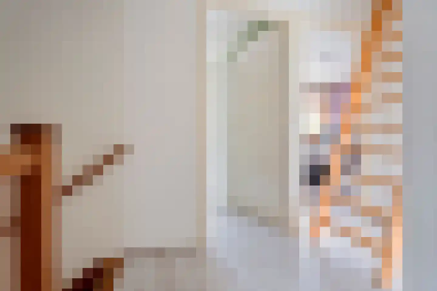 Spatterstraat 2 Wormer thumbnail 24