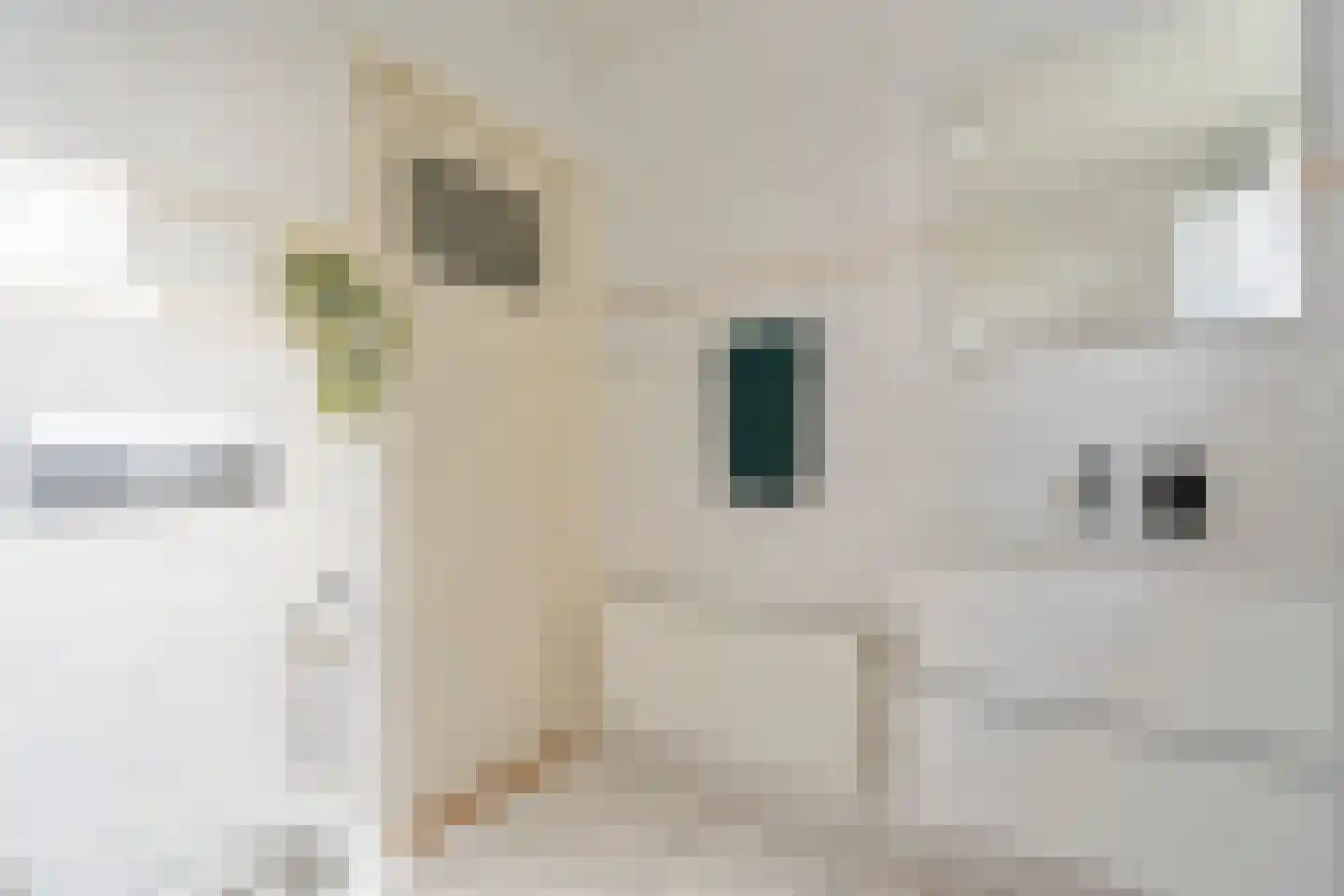 Spatterstraat 2 Wormer thumbnail 30