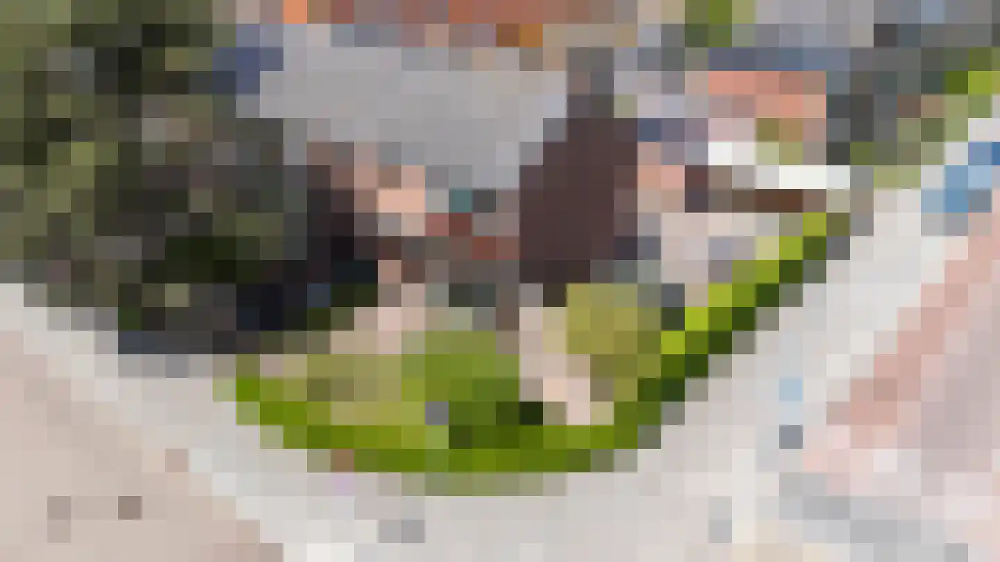 Spatterstraat 2 Wormer thumbnail 35
