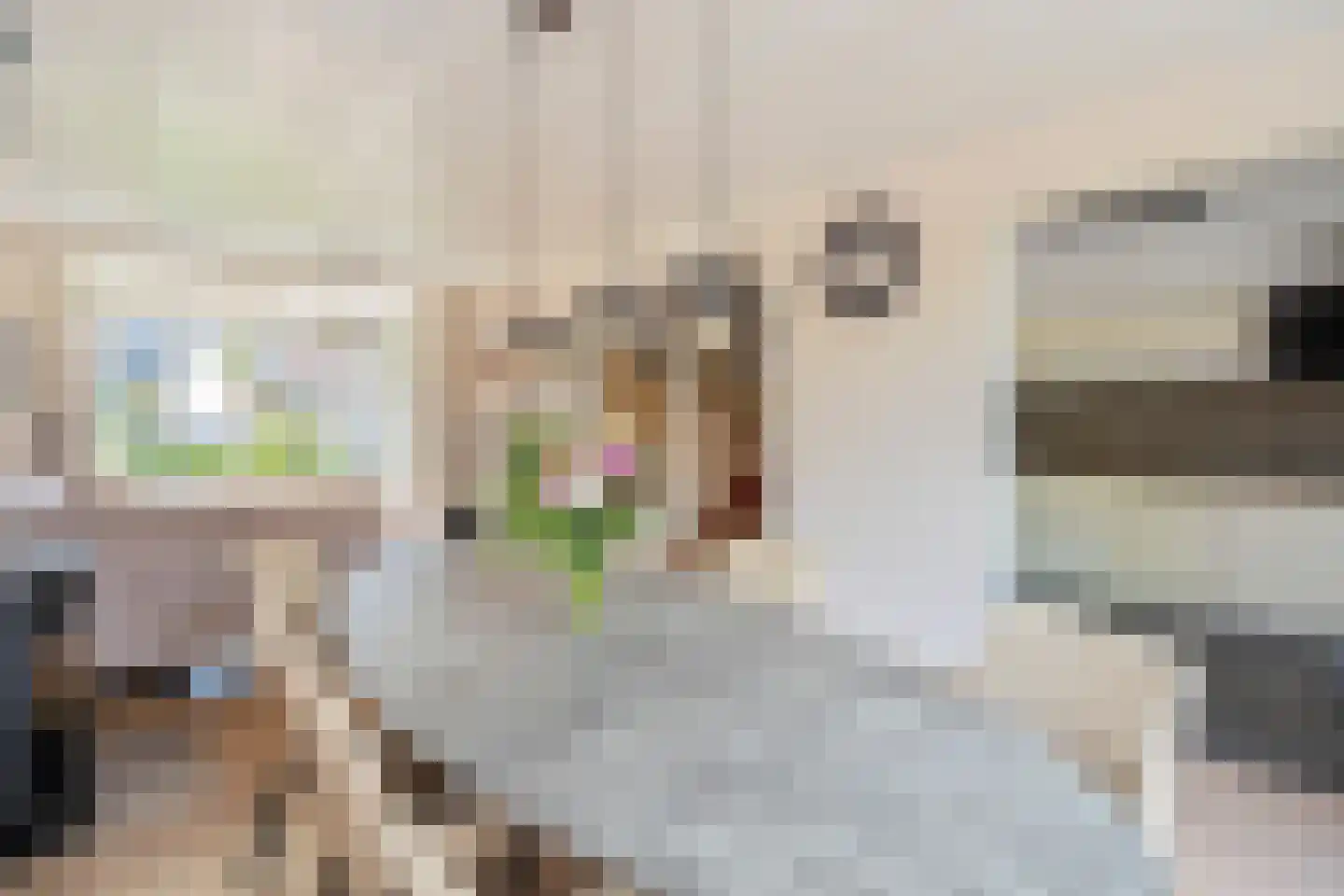 Spatterstraat 2 Wormer thumbnail 6